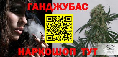 МДПВ Кингисепп