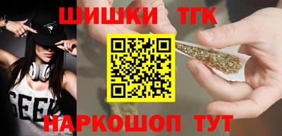 МДПВ Кингисепп