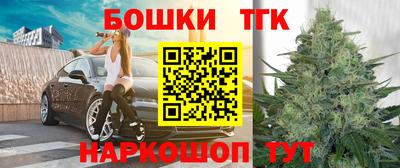 МДПВ Кингисепп